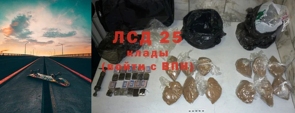 индика Баксан