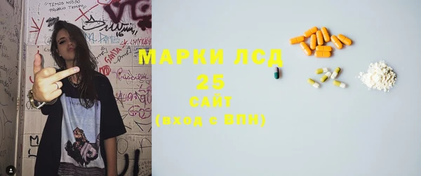 индика Баксан
