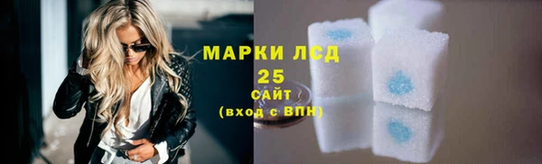 индика Баксан