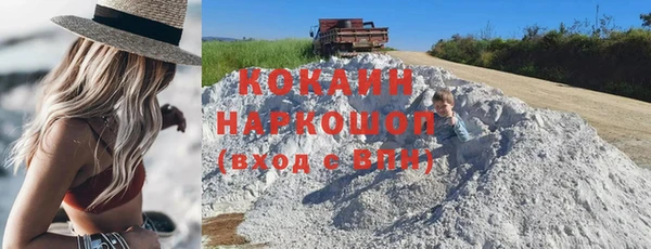 индика Баксан