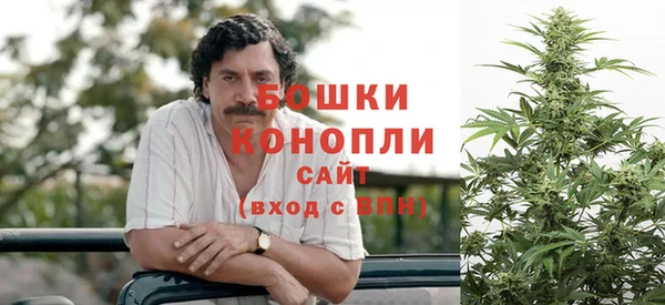 индика Баксан