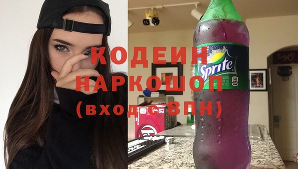 индика Баксан