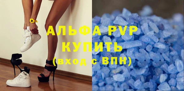 индика Баксан