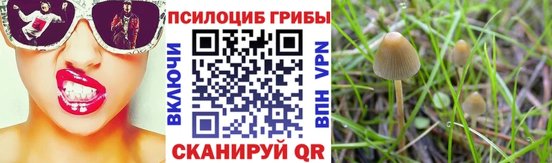 Галлюциногенные грибы мухоморы  Городище 